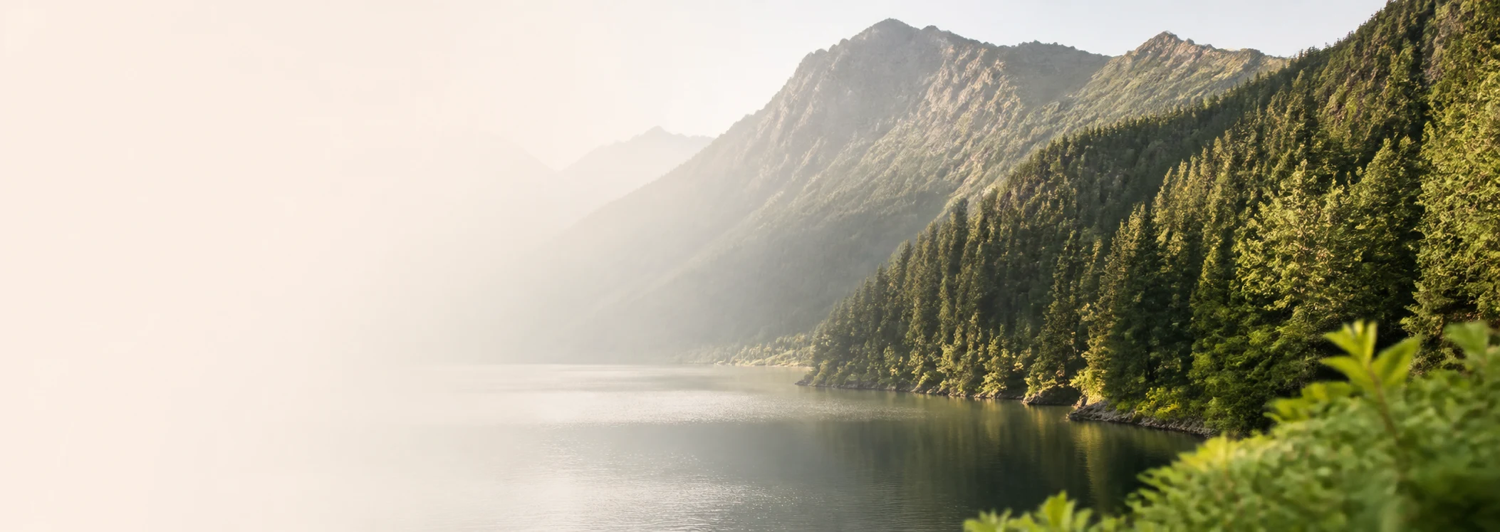 Sunlit alpine lake surrounded by evergreen mountain forest